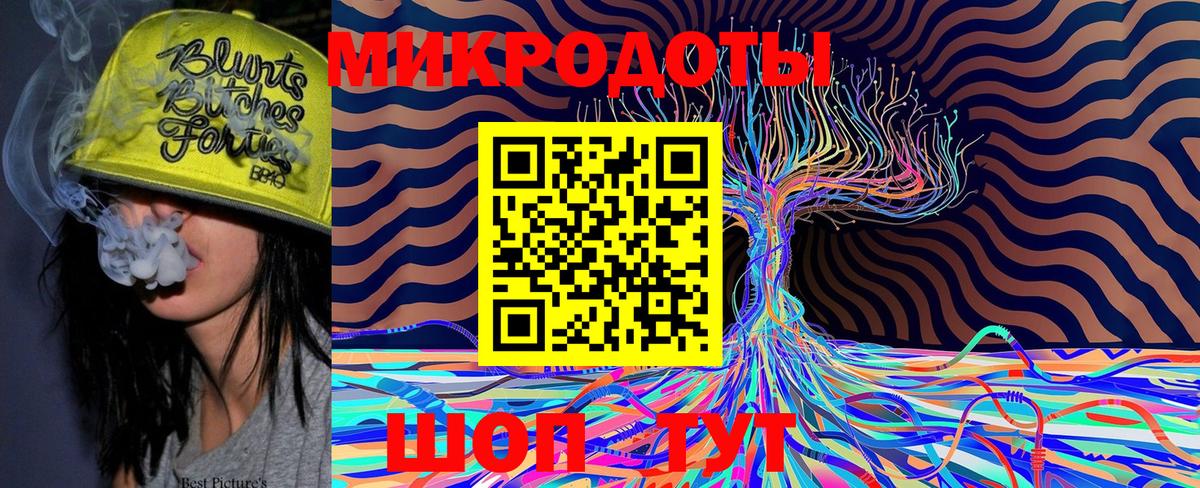 Галлюциногенные грибы Cubensis Майкоп