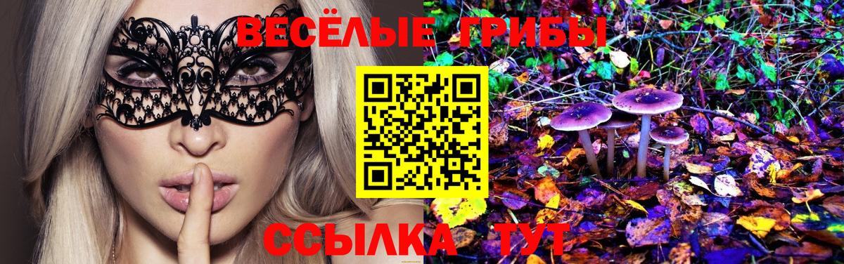 Псилоцибиновые грибы Psilocybe  где купить наркоту  Майкоп  Псилоцибиновые грибы ЛСД  Вход с VPN 