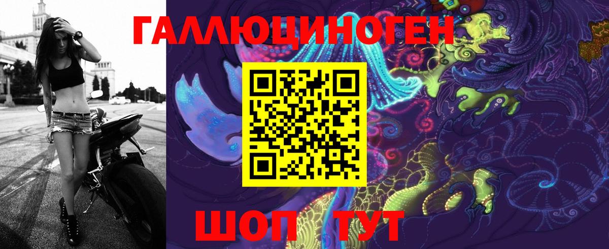 Псилоцибиновые грибы Psilocybine cubensis Майкоп